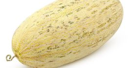 Melones Uzbekos – Mirza (Torpedo) | Miel Blanca |