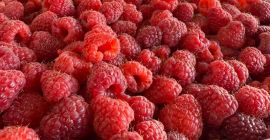 En venta: Frambuesas extra 95/5, 90/10, grosellas negras limpiadas