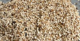 Semillas de sésamo sin cáscara - Frescas, puras, al