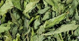 HOJAS ENTERAS AROMA FUERTE COLOR VERDE NATURAL SECADO AL