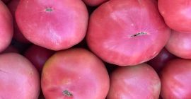 Ofrecemos tomates rosados
