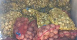 Venta de cebollas