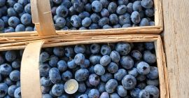 Hola, esta tarde vendo 200 cestas de 3 kg