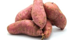 Berenjena fresca de granja egipcia. Productos relacionados: berenjena, berenjena