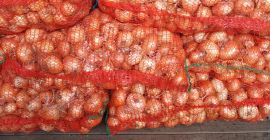 Vendo cebollas de verdeo empacadas en bolsas de 25