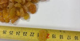 Vendemos pasas amarillas doradas en cajas de 10 kg,
