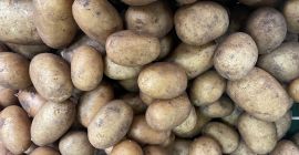 Venta de cebollas, zanahorias, chirivías y patatas (10 kg/bolsa