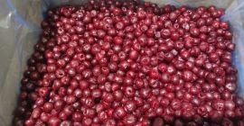 Vendo cerezas ácidas IQF, clase I, sin hueso, en