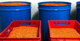 Actualmente contamos con 2 toneladas de espino amarillo congelado