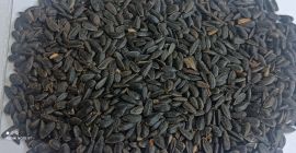 Busco comprar semillas de girasol sin cáscara. Preferiblemente envasadas