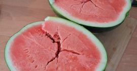 Variedad Mirrisimi. Brix 11, lo que significa muy dulce.