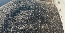 Vendo 1000 semillas de girasol, con un contenido de