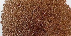 Ofrecemos suministros de semillas oleaginosas para la exportación. Nuestro