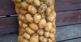 Hola. Vendo papas comestibles. Para más información, llame al