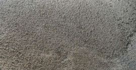 Vendo guisantes baston. Sanos, sin enfermedades ni insectos. La