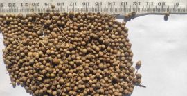 ¡Buen día! Nuestra empresa se dedica a la exportación