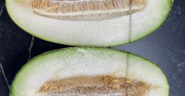 Buenos días, vendo melones de Uzbekistán. Directamente de la