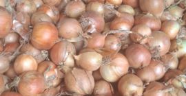 Hola. Busco cebollas amarillas de exportación, calibre 60-70+. Más