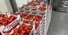 ¡Hola! JAREX ofrece tomates frambuesa 1B, 2B y 3B.