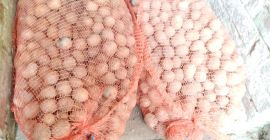 Tengo papas a la venta envasadas en sacos de