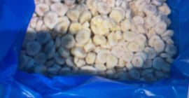 Rodajas de plátano congeladas de Ecuador, orgánicas. Empacadas en