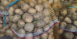 Vendo papas comestibles de la variedad Lord. Para más