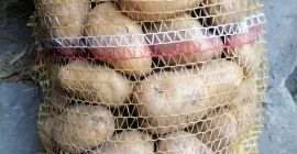 Hola, vendo patatas comestibles de las variedades Bellarosa, Red