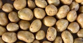 El productor ofrece patatas Soraya de alta calidad (otras