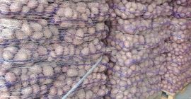 Vendo papas de las variedades Queen Anna, Denar y