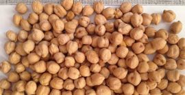 Garbanzo, producido en Hungría. Convencional. Directamente del agricultor.