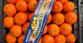 DMD Fruit Srl es una empresa familiar con sede