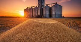 Contenido de proteínas % (en materia seca) silo de