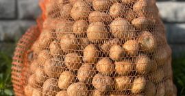 Papas Bryza: ¡directamente del Papas Bryza: ¡directamente del agricultor! Tenemos papas comestibles frescas