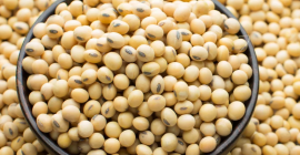 Soja sin OGM apta Soja sin OGM apta para consumo humano Pureza 98%