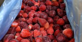 Somos una empresa dedicada a la recolección, procesamiento y