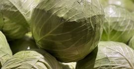 Repollo blanco: Flexton, Ramco, Novoton, Ambrosia. Calibre 3+. Envase: