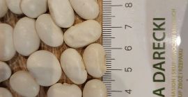 Alubias blancas 106/100 g, cosecha 2025, envasado en big