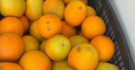 Naranja País de origen Grecia Variedad Valencia Dulce Disponible
