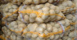 Tengo más de 50 papas a la venta: variedades