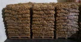 Vendo patatas de las variedades Gala y Denar, muy