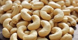 Anacardos premium para profesionales de la alimentación exigentes. Producción