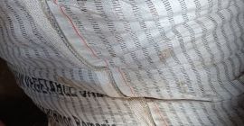 Vendo remolacha larga de la variedad Alto +[teléfono]