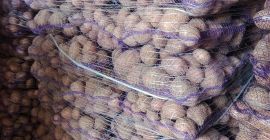 Hola. Vendo papas amarillas Hola. Vendo papas amarillas y rojas. Cantidades para camiones