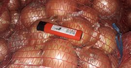 El productor vende cebollas de la cosecha de 2025.