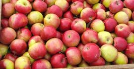 Vendemos rifles Idaret calibre 65+, procedentes de la República