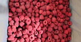 Hola, somos la Cooperativa Agrícola Fungo-vita de Serbia. Vendemos