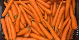 Zanahorias frescas y de calidad, ¡directamente del productor! Tamaño: