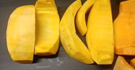 Venderé calabaza pelada Bambino y Otylia número de teléfono