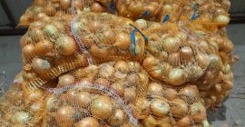 Tengo entre 50 y 60 toneladas de cebollas amarillas.