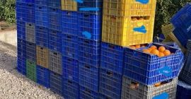 VENDO MAS DE 25.000KG DE NAVELINAS DE LA COMUNIDAD